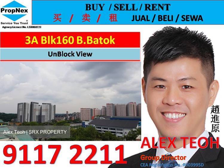 Blk 160 Bukit Batok Street 11 (Bukit Batok), HDB 3 Rooms #174793842